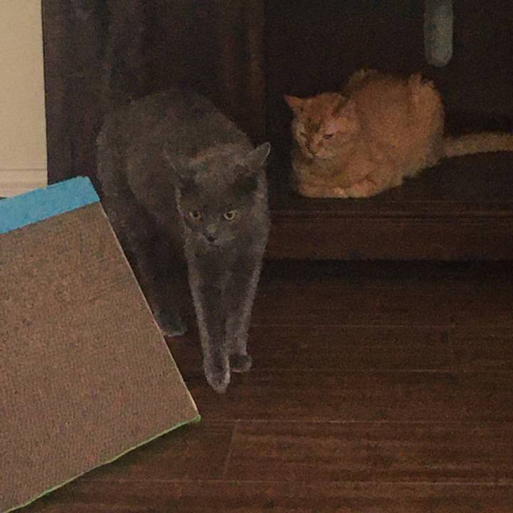 3dcc289e 4341 4770 9262 0d39f0d95289 1652831957543