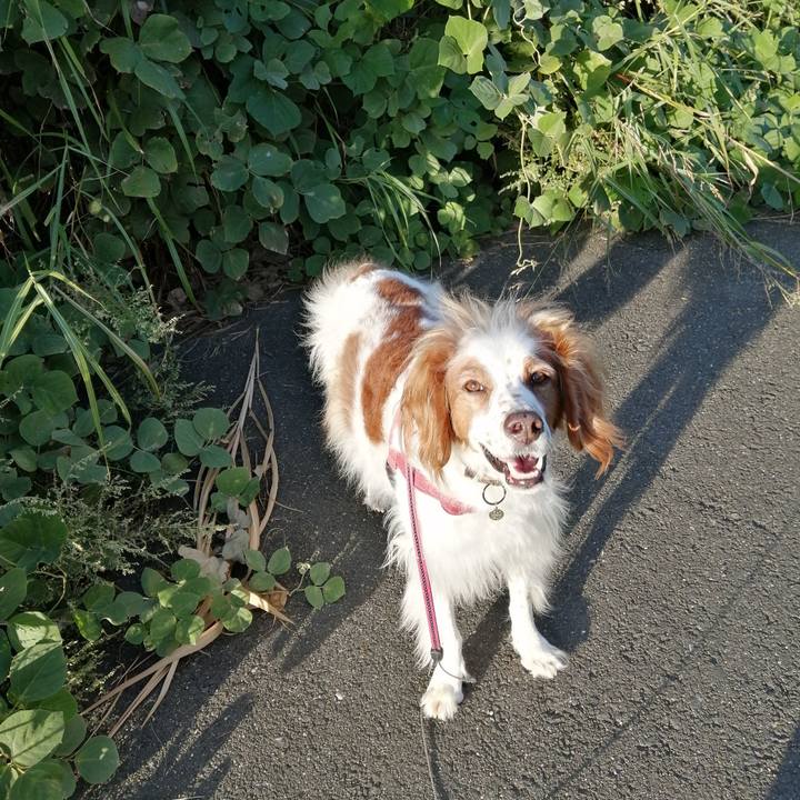 3dcc2b43 d8c0 4441 8edb 8fd6e7a69fd3 1602227305955