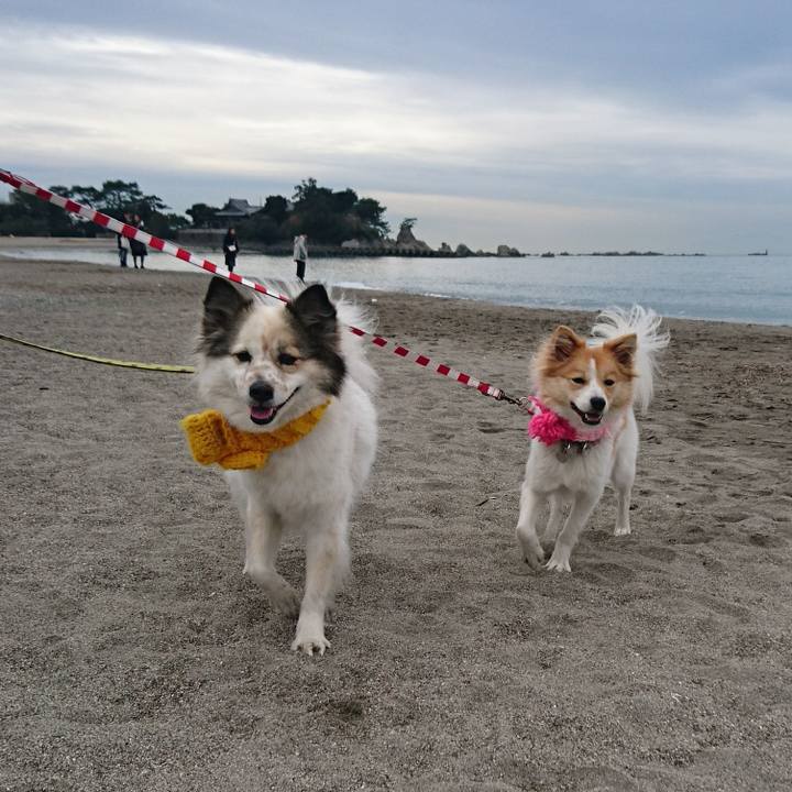 3dcc4f11 223d 4826 adf1 065f393f2605 1515764280442