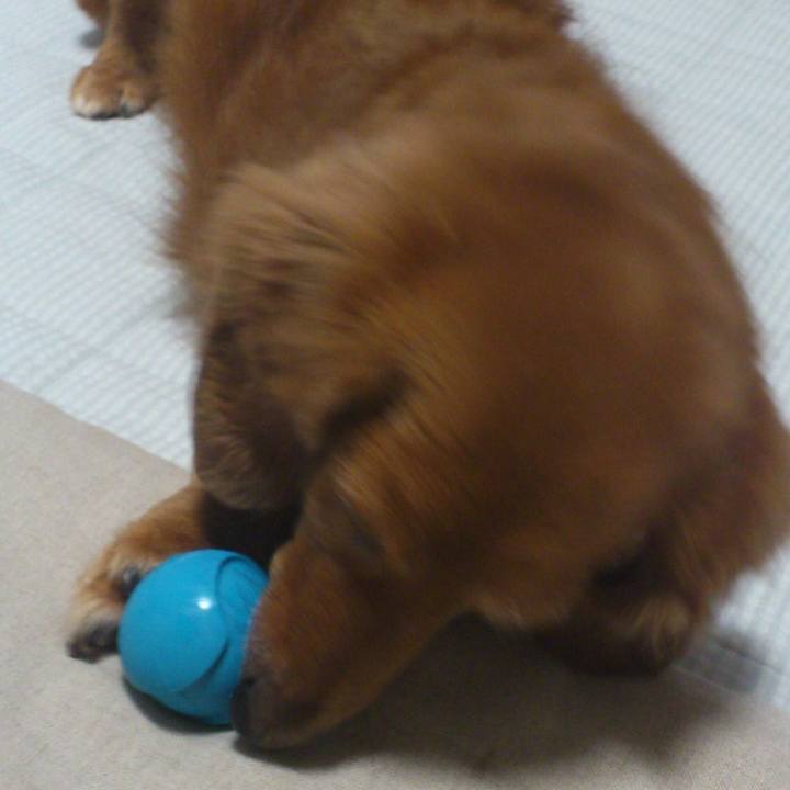 3dcc7d25 74cf 42d1 b0b5 91ac592e8d58 1562605218018