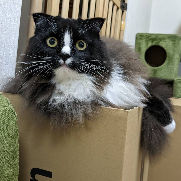 3dcc8188 0da4 40aa 89e1 04bbb6e51805 1667303304843