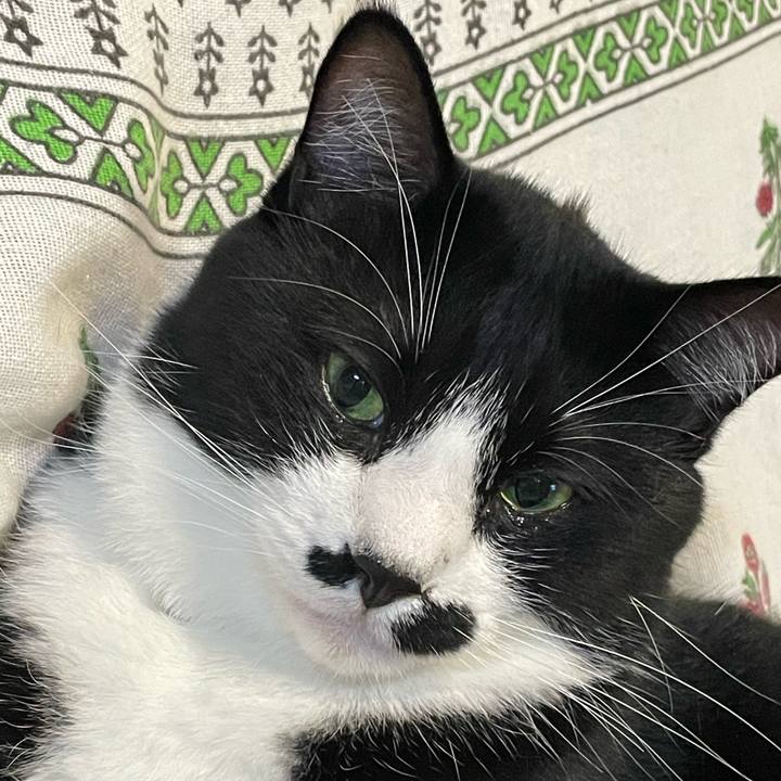 3dcc9543 6b9a 435b bbad 2381f1398e63 1662464544415