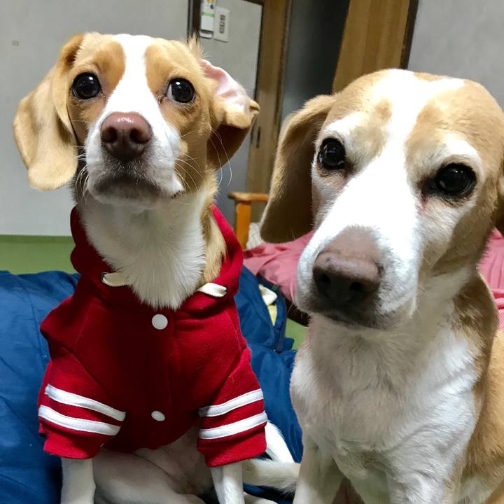 3dccace7 958f 49a5 952d 66f28162d961 1512730730832