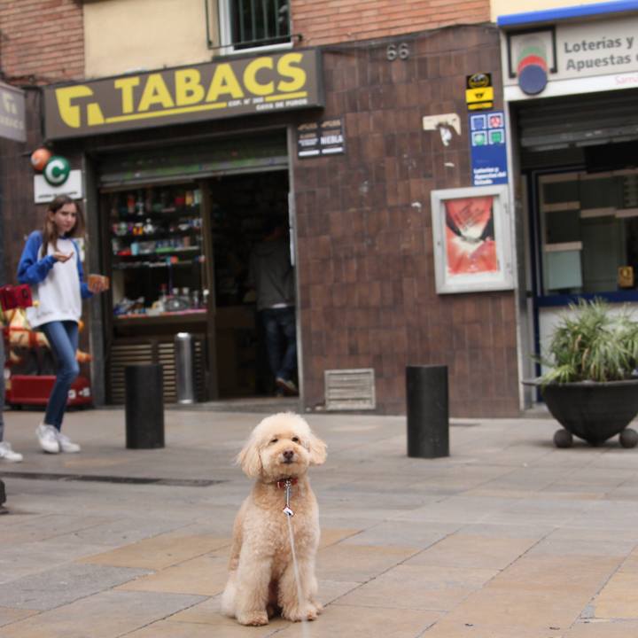 3dccc010 3199 4dc9 b9d7 4036590ced1c 1526656568408