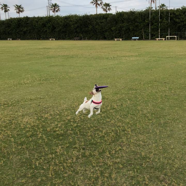 3dccd5fd 4e17 409a 8c25 4f75d8aa794b 1527864865592