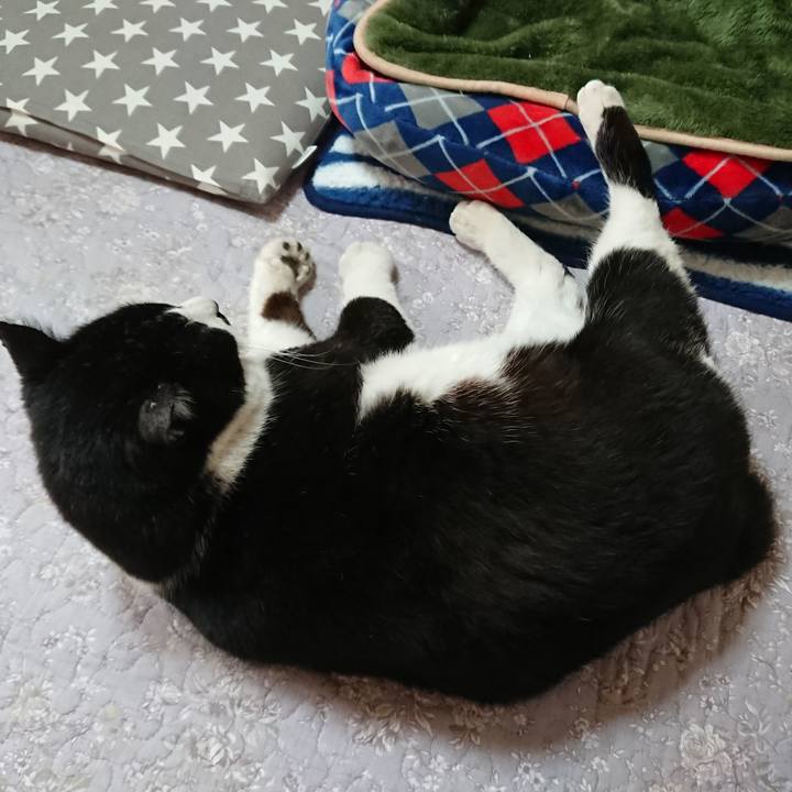 3dccf117 cc02 4ec3 b8b6 067394c9bf4c 1553147685644