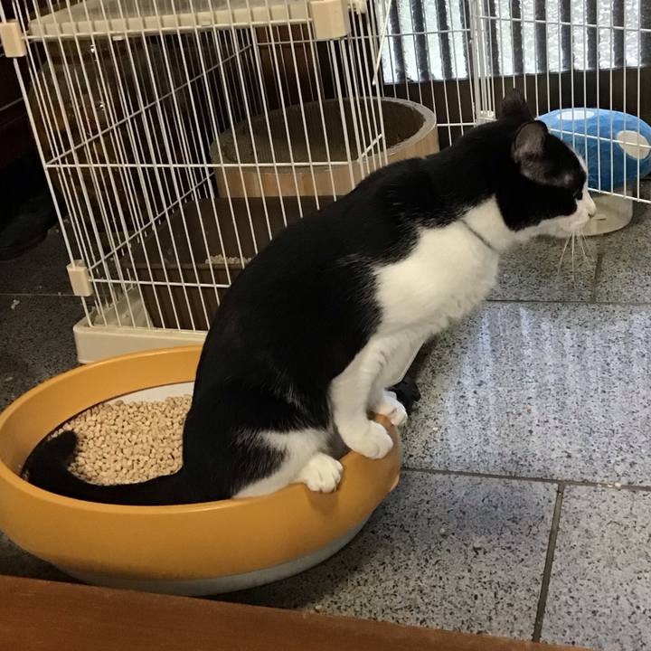 3dcd03ed fcec 49d0 be91 2b8af6a7b683 1759997236574