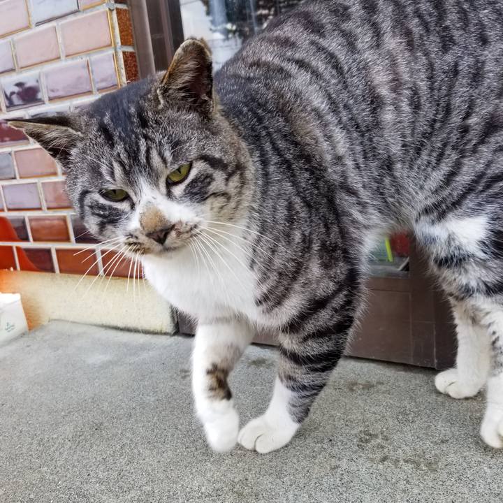 3dcd07b3 c40a 428c a5c6 4b5588cb1a19 1613831242159