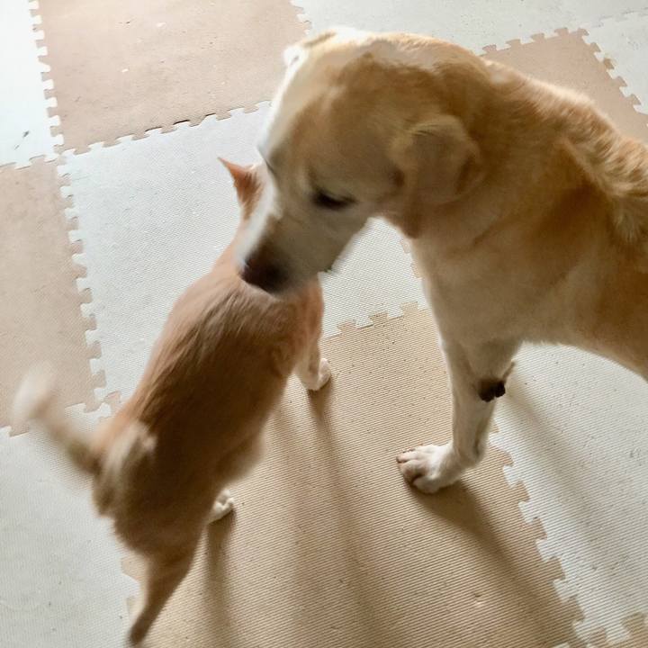 3dcd1fb9 5e36 4442 9bd4 36f4a12302b9 1535860099024