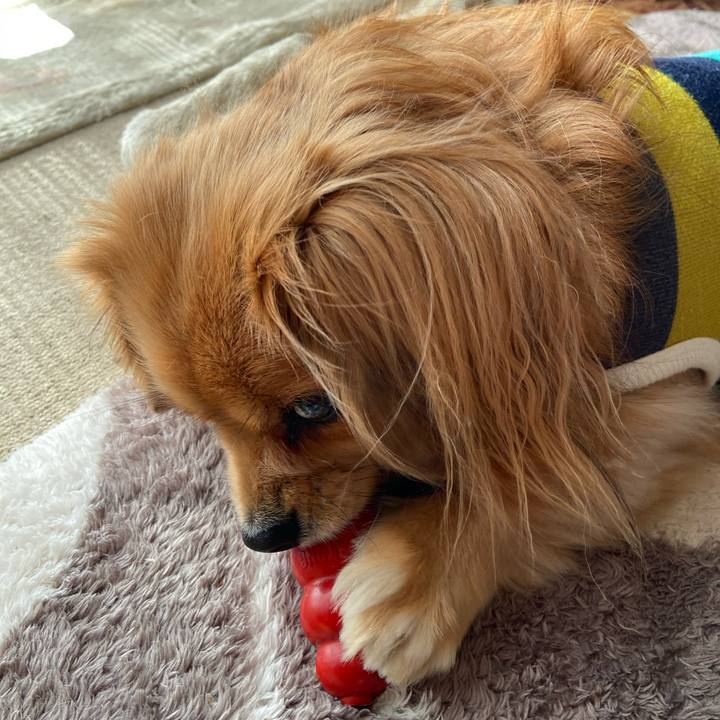 3dcd5717 f2e2 4ffd a7a6 42acbe0a497f 1577579640250