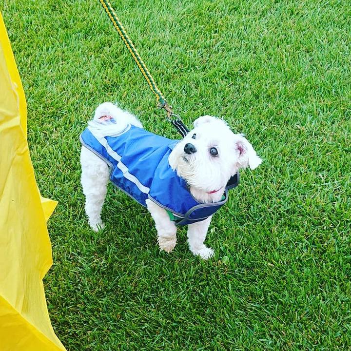 3dcd8bba 0781 4b35 b1b4 7fe84ab71b40 1569053360001