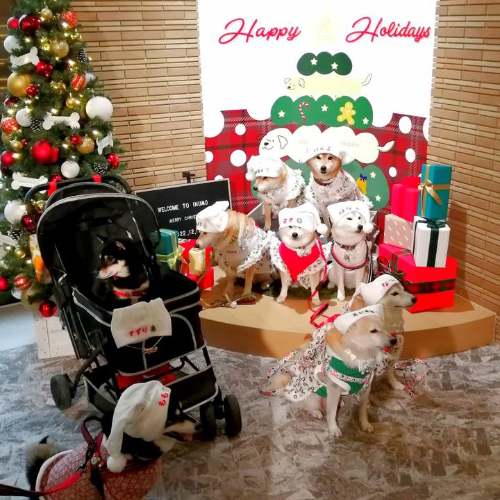 3dcd90e6 43b2 4ba9 8729 f8c9d717ad1f 1670823245795