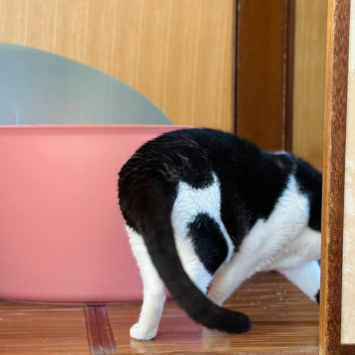 3dcd9bb9 d19c 4b38 b16c 9b4d96decdb1 1698628145584