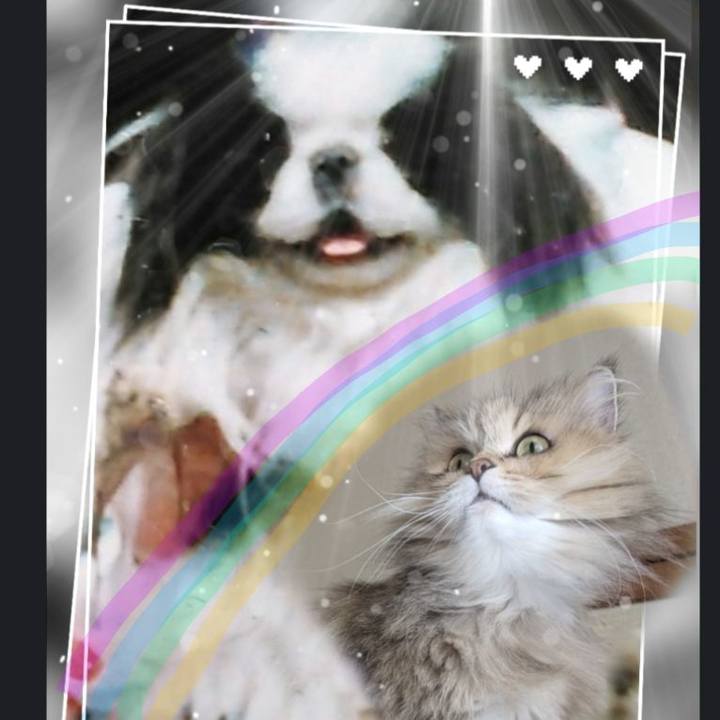 3dcdaa41 b2ad 49a7 8833 2696420cabcc 1716517389108