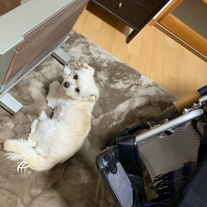 3dcdc3ae 491f 4a65 b5e1 4fea5a8bc742 1604373785763