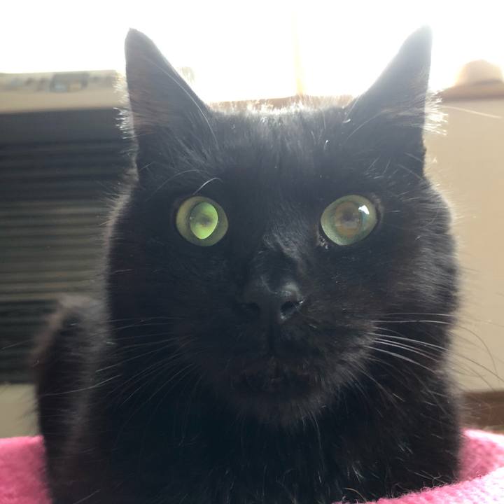 3dcdffec 9706 4d5d aed6 ef7fb3f2ff58 1570228571250