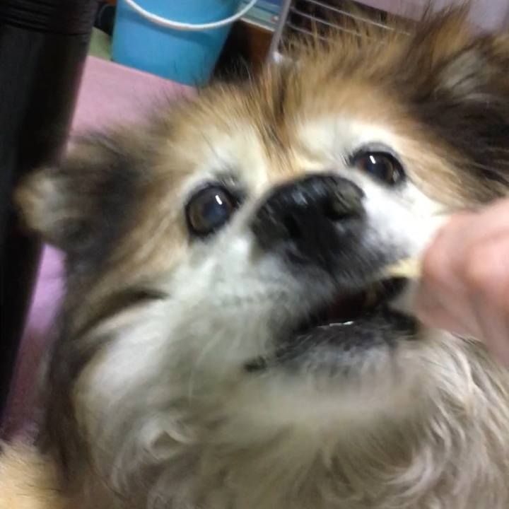 3dce170d 0225 4ac4 a74a 29d88b37a27a 1566727216465