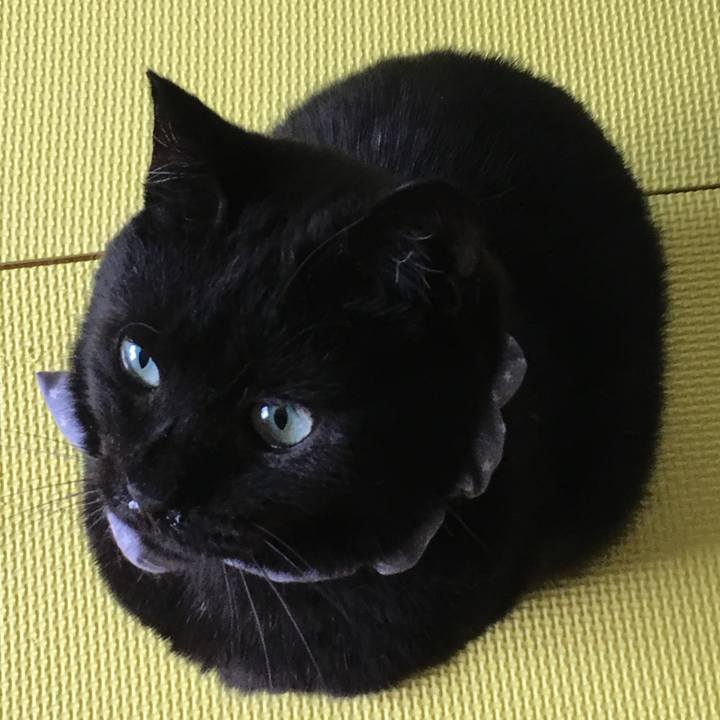 3dce5b4e c620 4600 8706 c83151fa3425 1532244560439