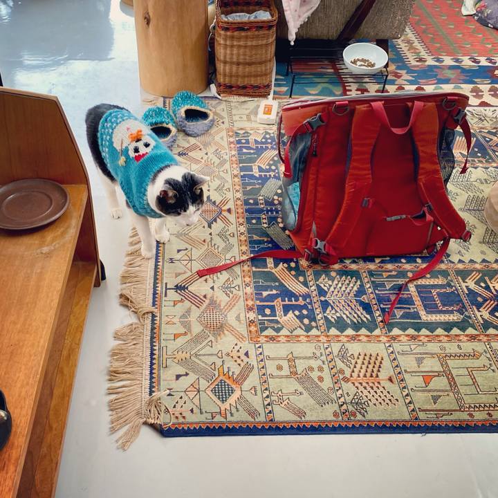 3dce7d14 08b4 4971 9021 c4e5a155e808 1610851310199