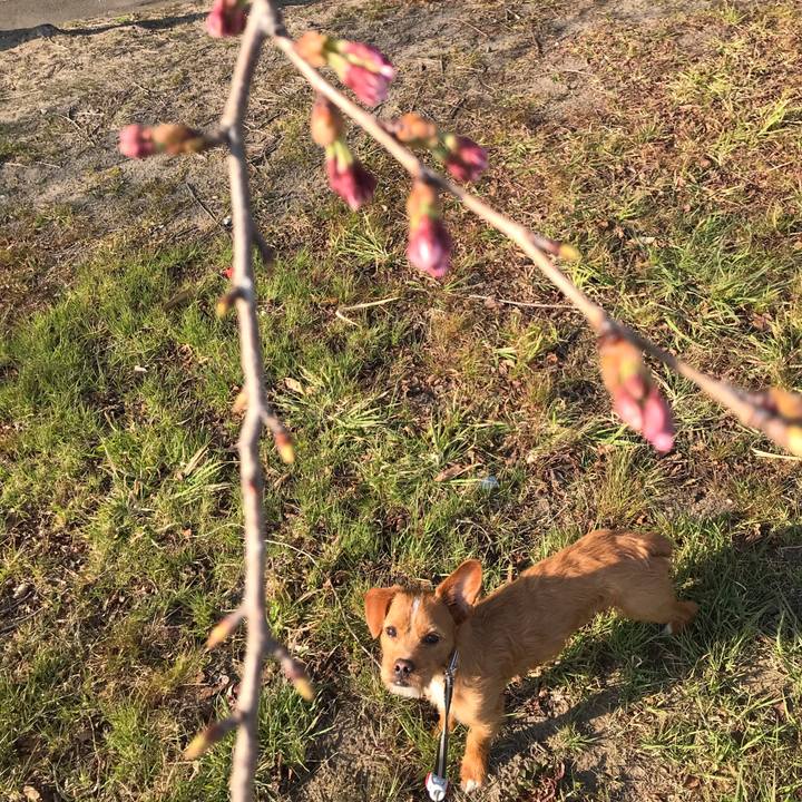 3dce7e6c 3cf5 4a07 848b f1733351f413 1554450434734