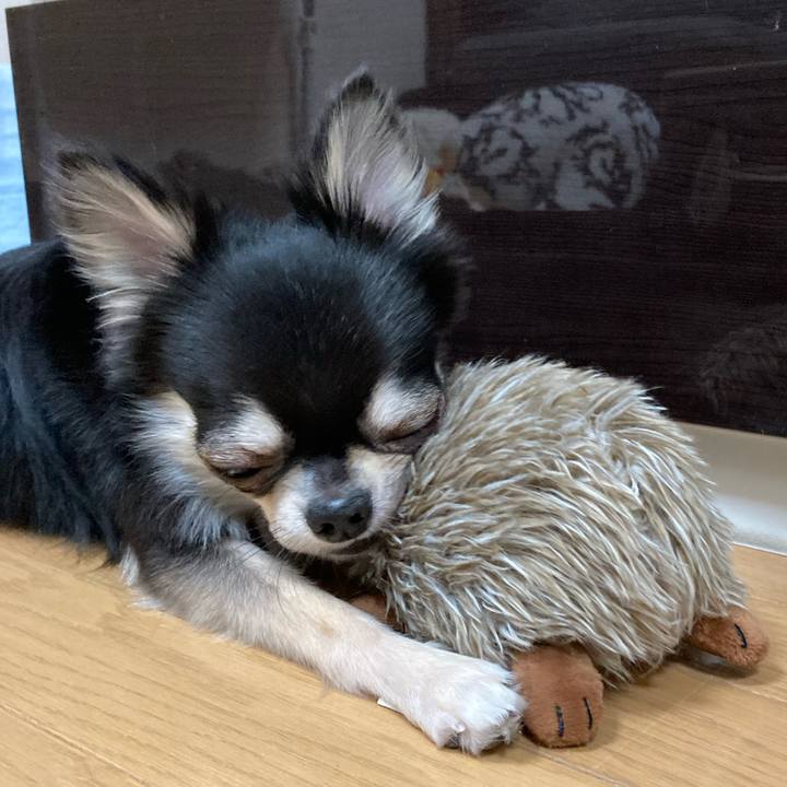 3dceb967 e8d7 470a a237 5eeeeed4fff5 1620048905069