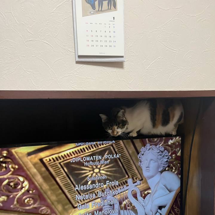 3dcebe0e bd3d 4b0c ae5d 9d5bb2431293 1768031674710