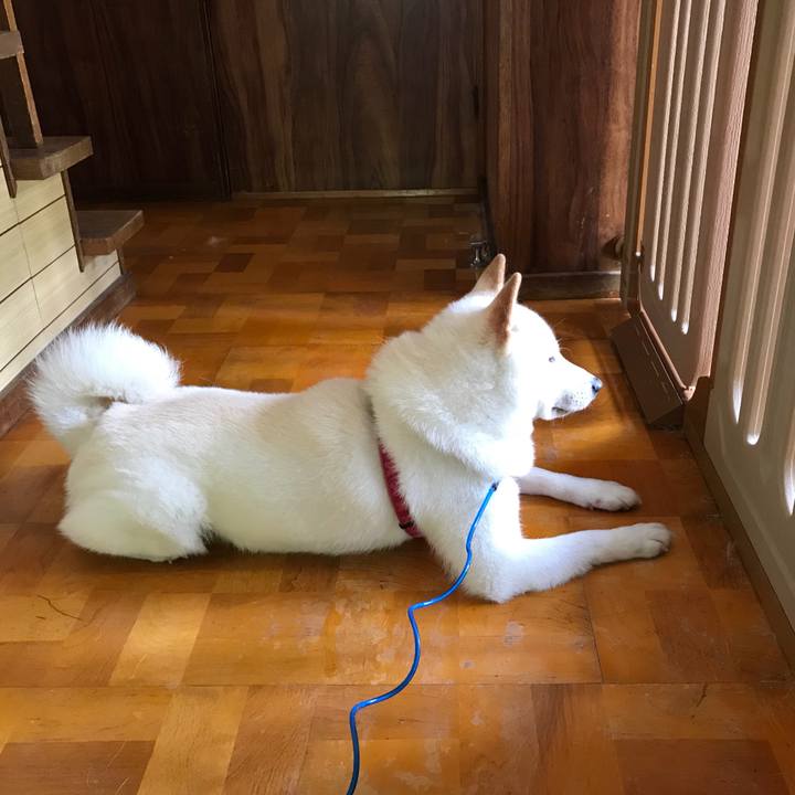 3dced29a 4fa1 45b5 ba38 6474b72b005c 1536395256103