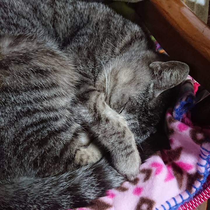 3dcee184 2a74 4d6f a314 81519cf13346 1553120653800