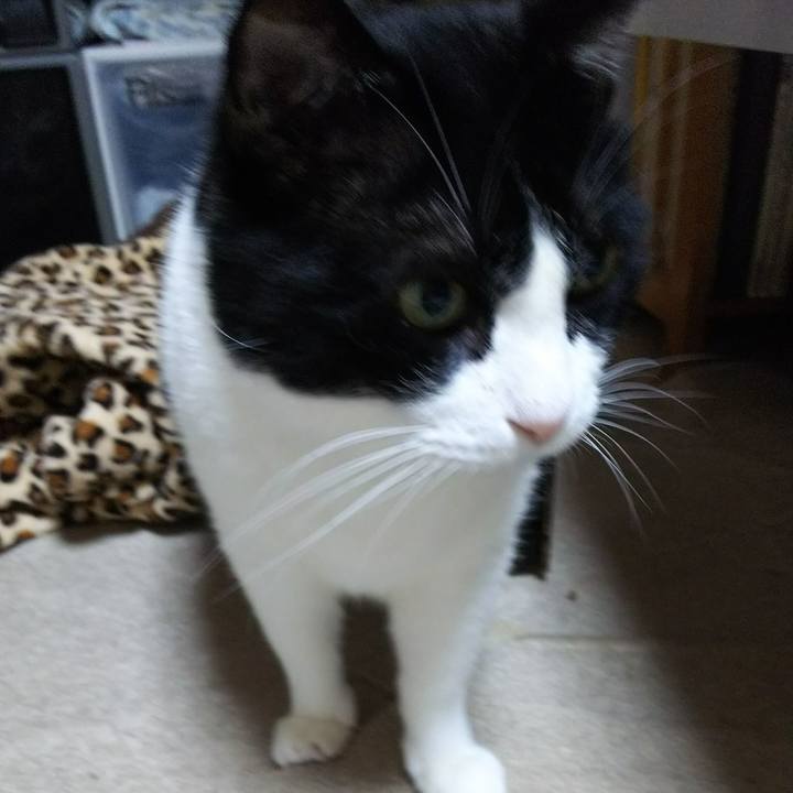 3dcf0dde 3619 4d42 a3ec 8997099e9ee2 1536270146230