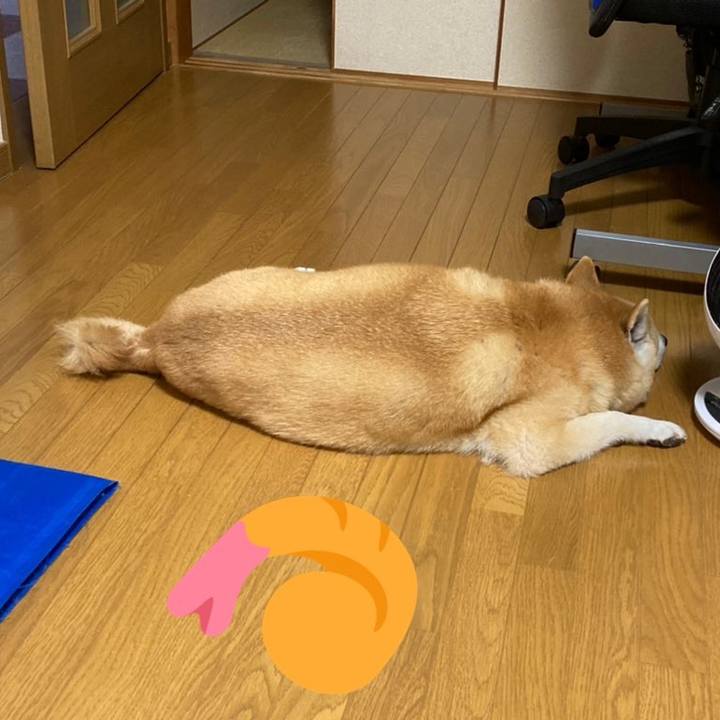 3dcf31ab 78d6 46c9 a05d 0b2e441a1714 1632889421745