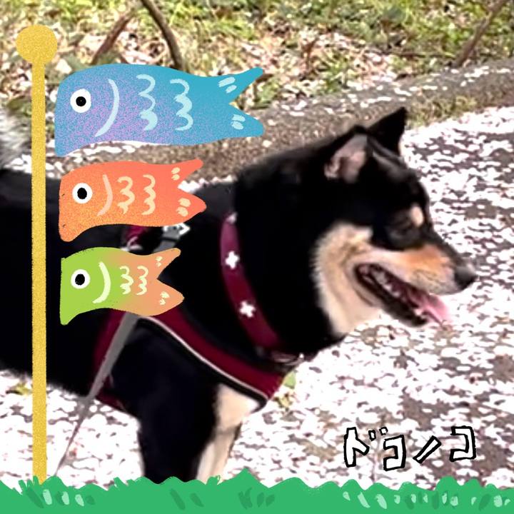 3dcf376f 99c4 4f50 ad98 1a2b6130bafa 1714886283247