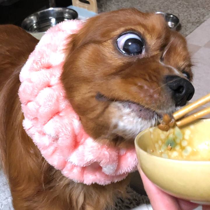 3dcf62a7 ad92 405f aca2 a7fcb7d8215b 1578136670322