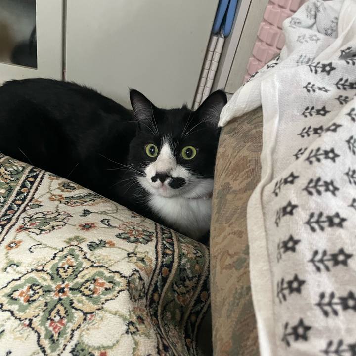 3dcfa0a6 eb07 4498 8158 c229653f882b 1685673075689