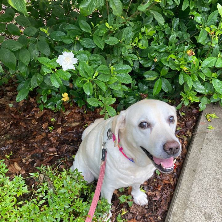 3dcfa658 7c08 43f6 8d4e 5567e85e6305 1752709609780