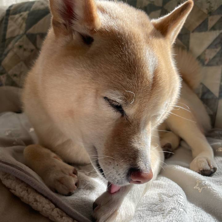 3dcfc8b4 64f0 49aa 86df 8b9ee29abd70 1736823960886