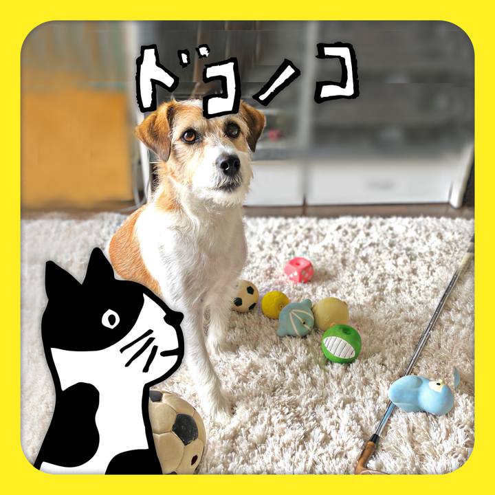 3dcfde52 00c9 47a7 af0f 4e45c801b7ef 1623051521725