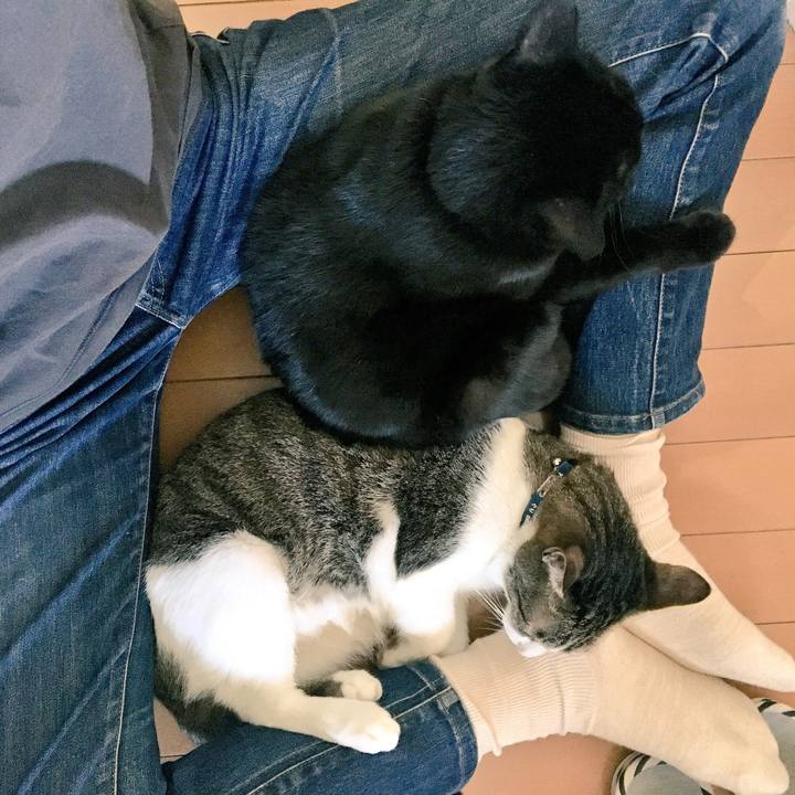 3dd004ea ac35 4334 838f ae19faa2feba 1537349865097