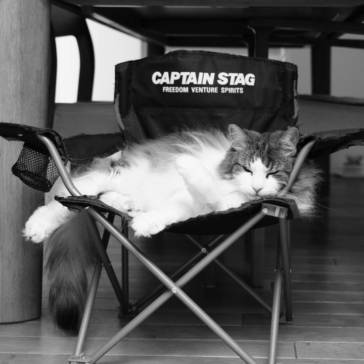 3dd014df 585c 493b 909e 29649151b12e 1749782311493