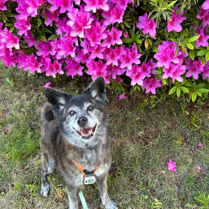 3dd0405c 0b7e 4ee2 a5d3 f44cee7e9bd6 1747000642517