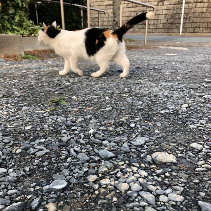 3dd04d92 5116 4e40 bf67 38250c69da62 1604355618619