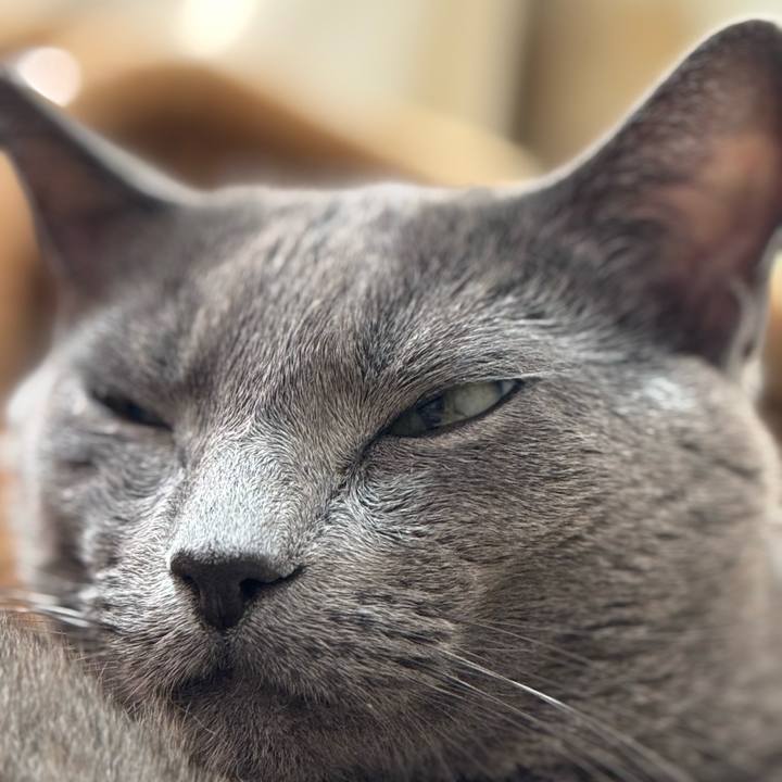 3dd06cc4 5ead 485c 8f9e 877e9ce0c175 1772246334901