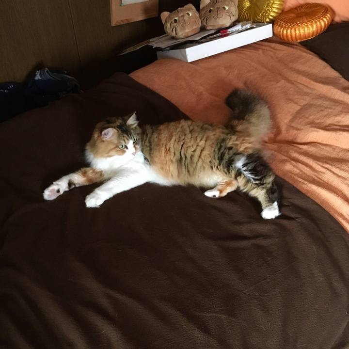 3dd089a0 d5ed 4301 80ec f0744e5c4de7 1553644392252