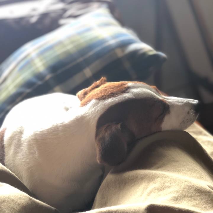 3dd0bbcc 8b71 454d 8994 0e3fd4bc733d 1562225022903