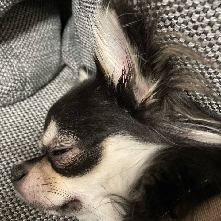 3dd0cf6f 572c 40ee a789 b08a8ec0548c 1605369756220