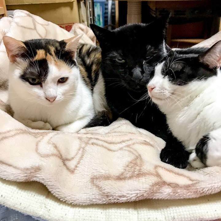 3dd0d9a3 e182 4ef1 9067 ed20983d4a85 1509710306671