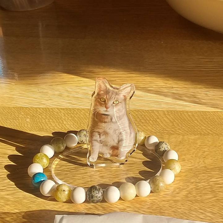 3dd0debf 61d9 4763 9953 79273985a07e 1740784076196