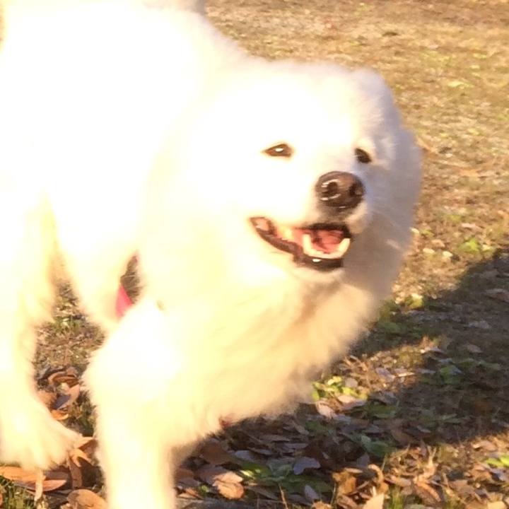 3dd0e98b 6fe3 4f2d ba13 3ac8b8807920 1545916360280