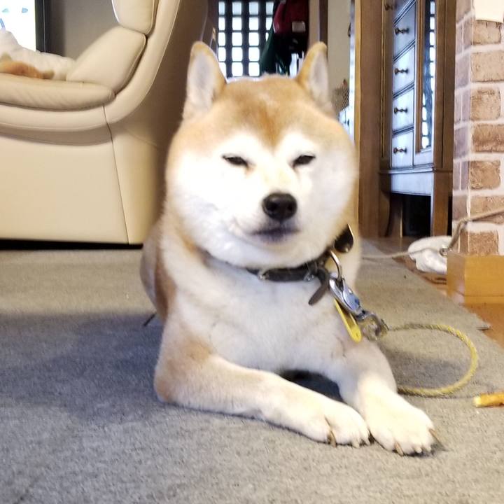 3dd105ea e61d 4c70 b3da ad330f458cf3 1635723378812