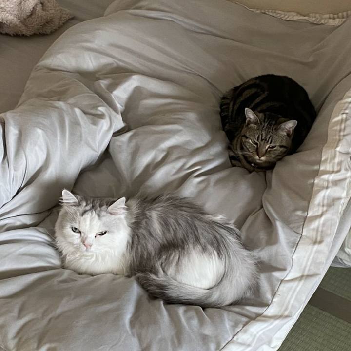 3dd10a50 1c45 4e8e 9460 7d95cda4861d 1573274755594