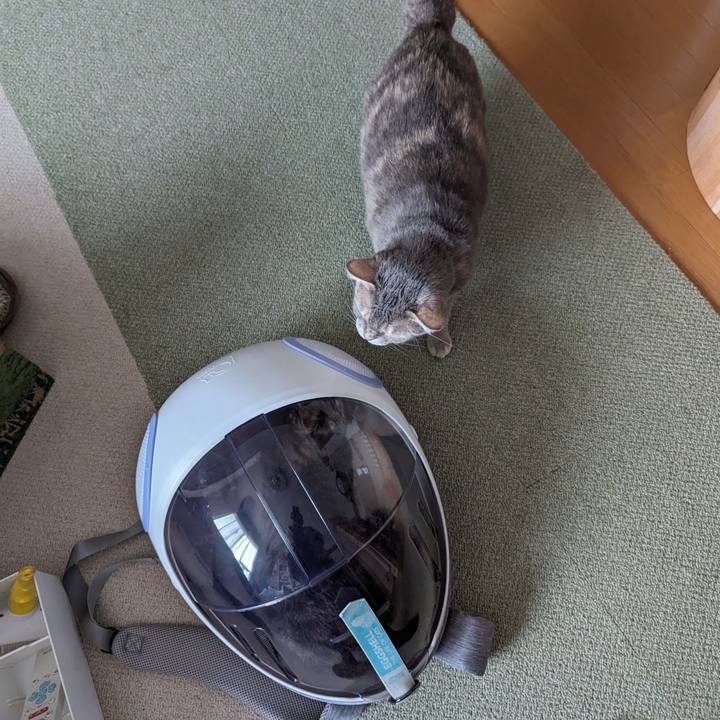 3dd15a57 8507 4c32 a9e0 48048757b3ff 1711599058304